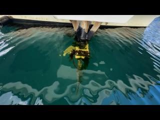 ヤンマー はやしおDE31B