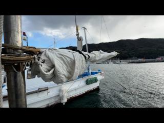 ヤンマー はやしおDE31B