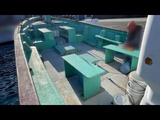 ヤマハ DX56 遊漁仕様