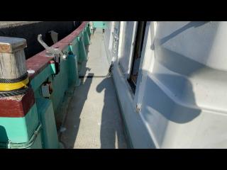 ヤマハ DX56 遊漁仕様