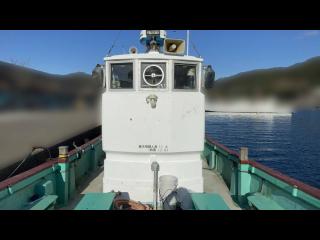 ヤマハ DX56 遊漁仕様