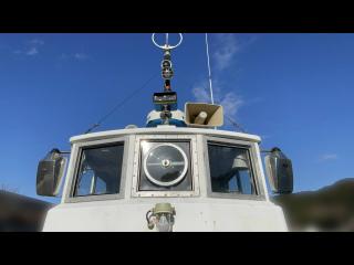 ヤマハ DX56 遊漁仕様