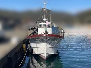 ヤマハ DX56 遊漁仕様