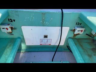 ヤマハ DX56 遊漁仕様