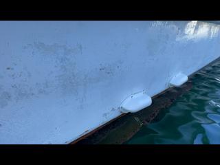 ヤマハ DX56 遊漁仕様