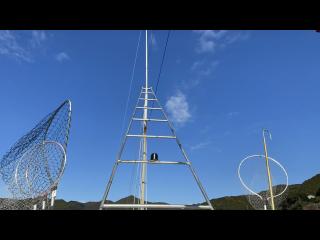 ヤマハ DX56 遊漁仕様