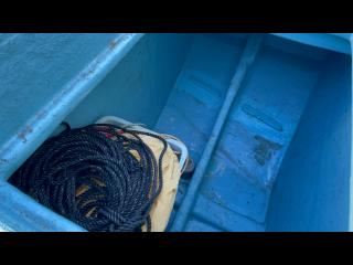 ヤマハ DX56 遊漁仕様