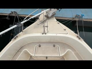 ニッサン ウイングフィッシャー23