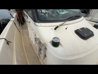 ニッサン ウイングフィッシャー23