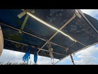 ニッサン ウイングフィッシャー23