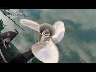 ニッサン ウイングフィッシャー23