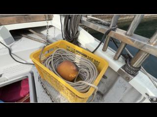 ヤンマー とびうお DE26DZ