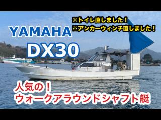 ヤマハ DX30