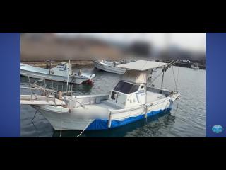 ヤンマー とびうお DE26DZ