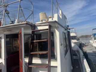 kong&halvorsen アイランドジプシー32