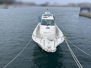 ヤンマー はやかぜEX29-BS