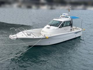 ヤンマー はやかぜEX29-BS