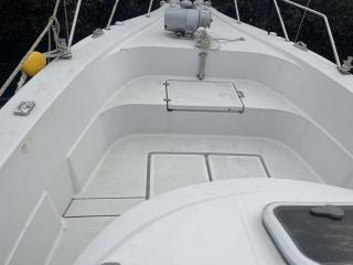 ヤンマー はやかぜEX29-BS