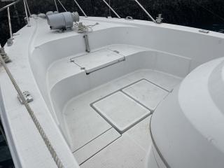 ヤンマー はやかぜEX29-BS