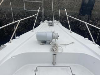 ヤンマー はやかぜEX29-BS