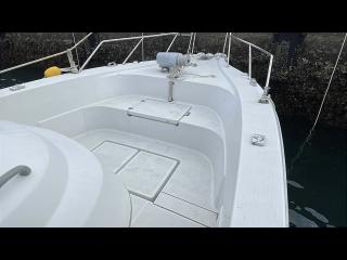 ヤンマー はやかぜEX29-BS