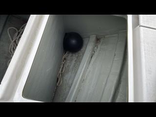 ヤンマー はやかぜEX29-BS