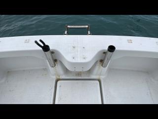 ヤンマー はやかぜEX29-BS