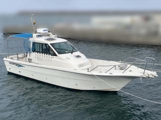 ヤンマー はやかぜEX29-BS