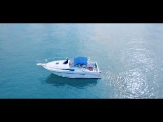 ウェルクラフト 32LXC