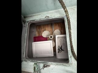 ヤンマー ZD24 A5