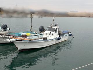 ヤンマー ZD24 A5