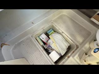 ヤンマー  ZG27AP-IS