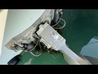 ヤンマー  ZG27AP-IS