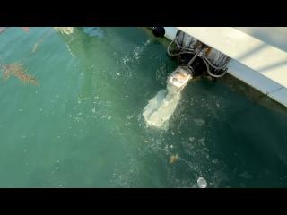 ヤンマー  ZG27AP-IS