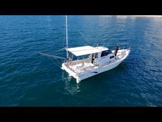 ヤンマー  ZG27AP-IS