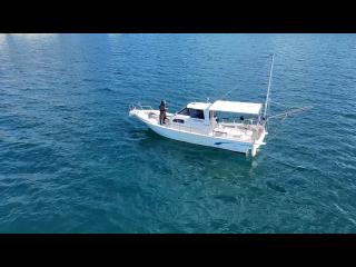 ヤンマー  ZG27AP-IS