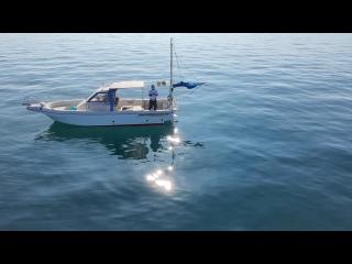 ヤンマー はやかぜEX25