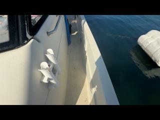 ヤンマー はやかぜEX25