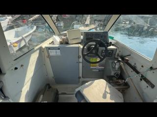 ヤンマー はやかぜEX25