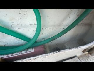 ヤンマー はやかぜEX25