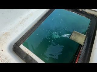 ヤンマー はやかぜEX25