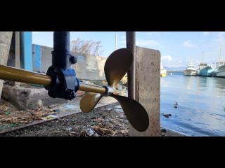 ヤマハ ヤマハ23F 引き上げ式シャフト船