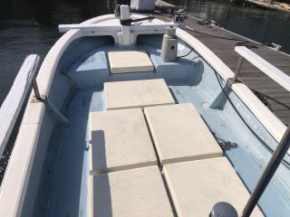 ヤマハ ヤマハ23F 引き上げ式シャフト船