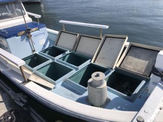 ヤマハ ヤマハ23F 引き上げ式シャフト船