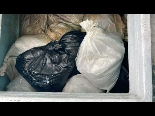 上の加江造船 48フィート遊漁船仕様