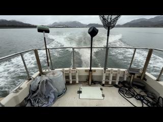 ヤンマー ZG24AP-IK