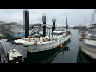 ヤンマー DE30-BL