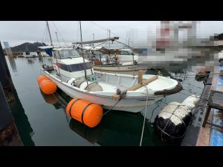 ヤンマー DE30-BL