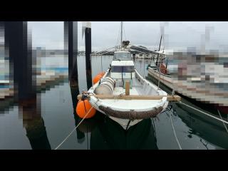 ヤンマー DE30-BL