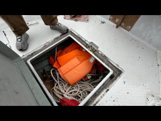 ヤンマー DE30-BL